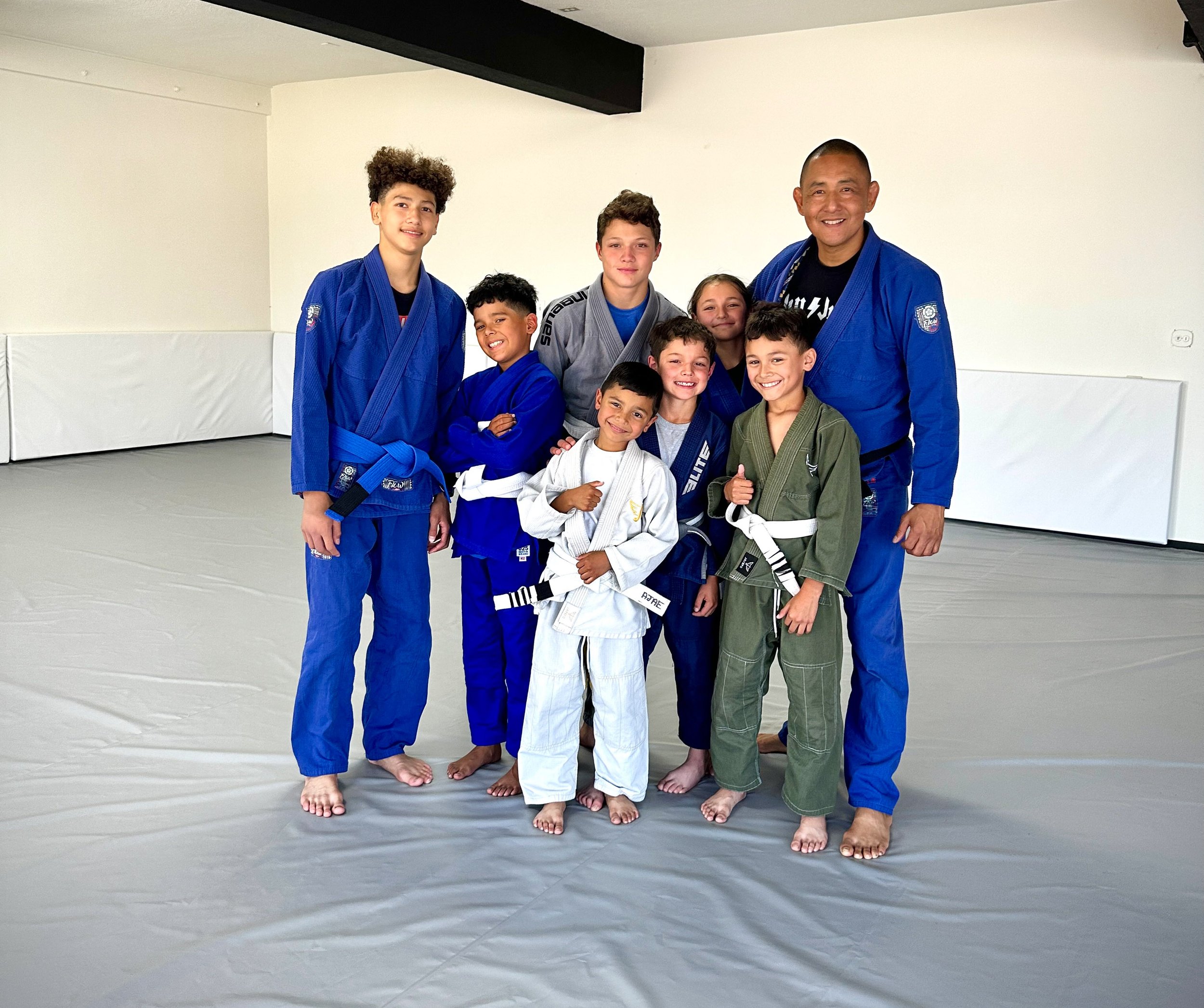 The Jiu Jitsu Training Institute