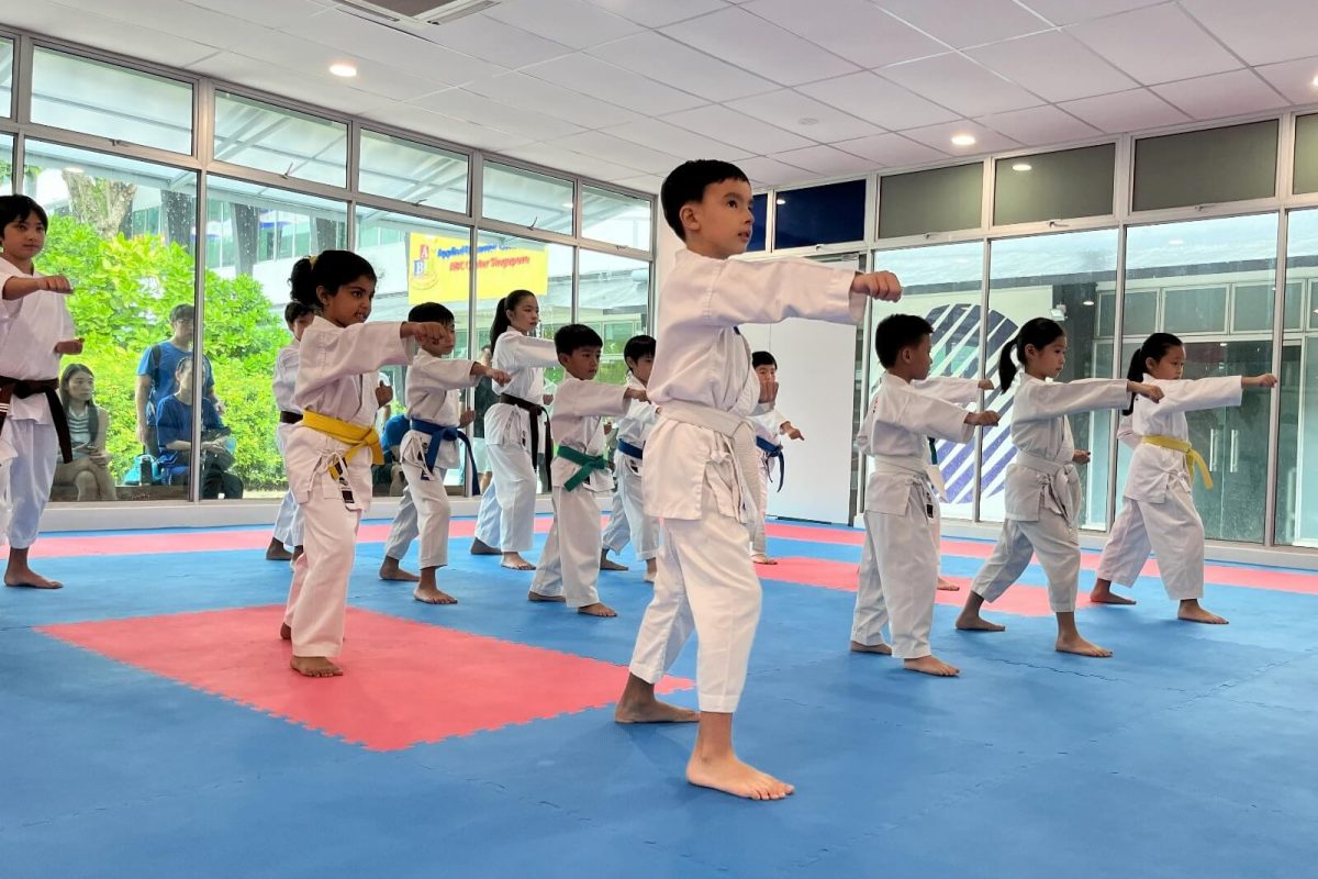 Main image of The Karate Academy