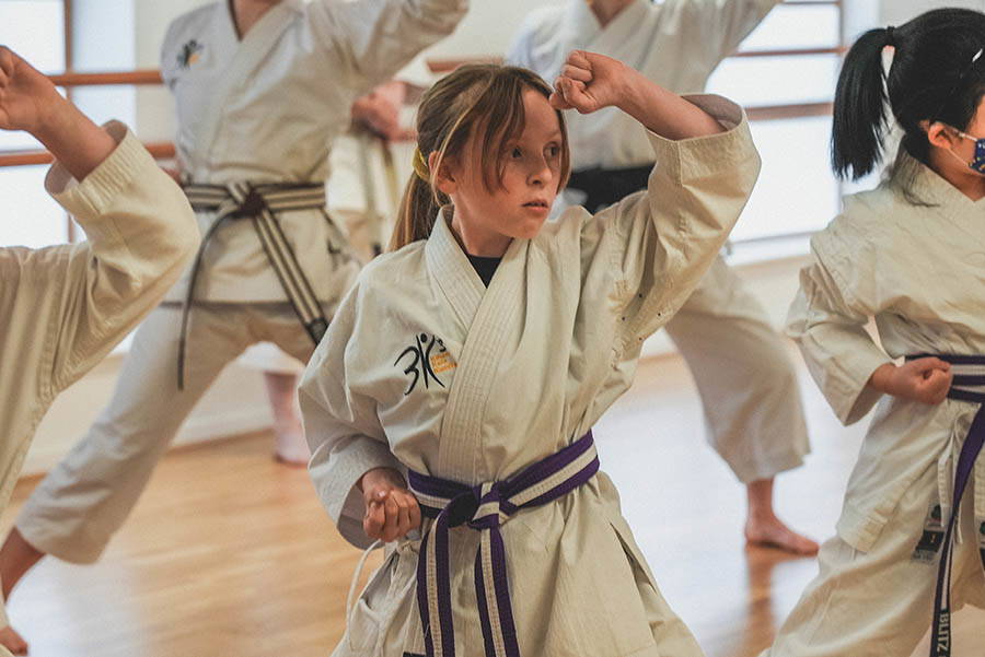 Main image of The Karate Dojo