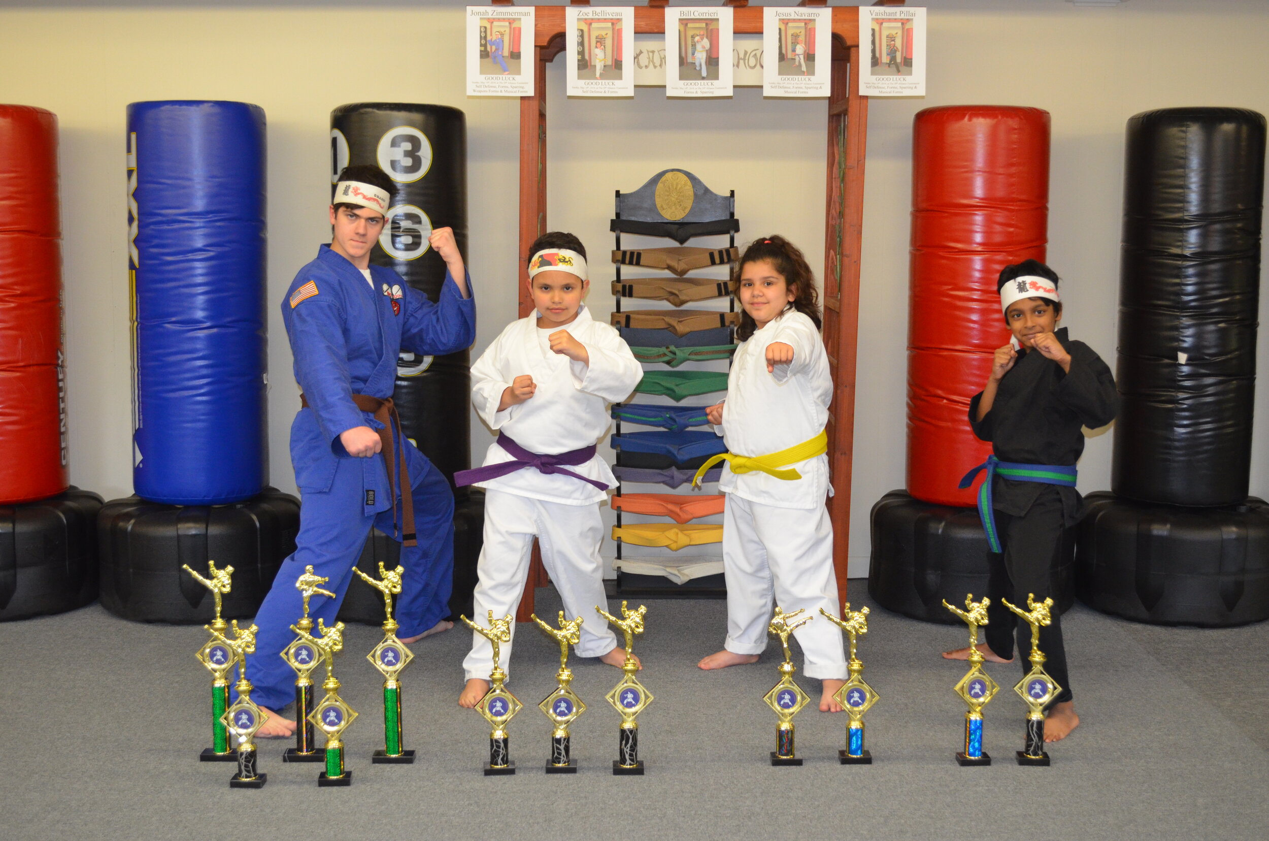 Main image of The Karate School