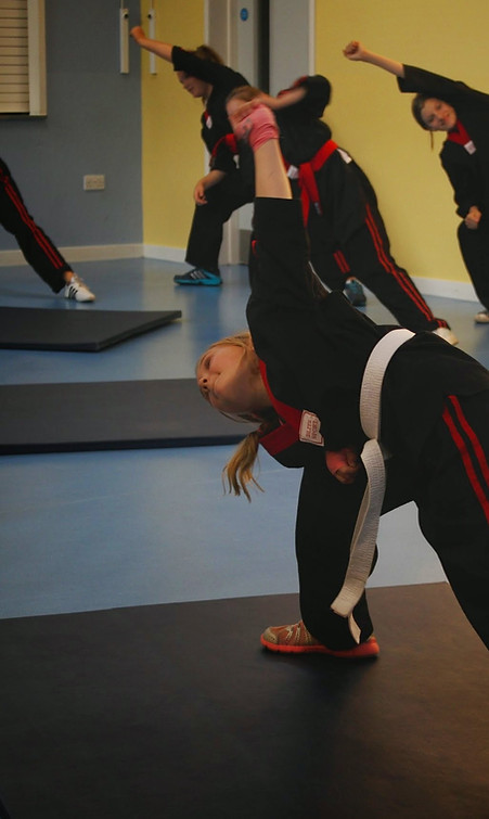 Main image of The Komuso System Martial Arts