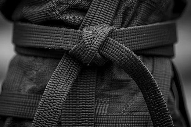 Main image of The Lions Club Martial Arts