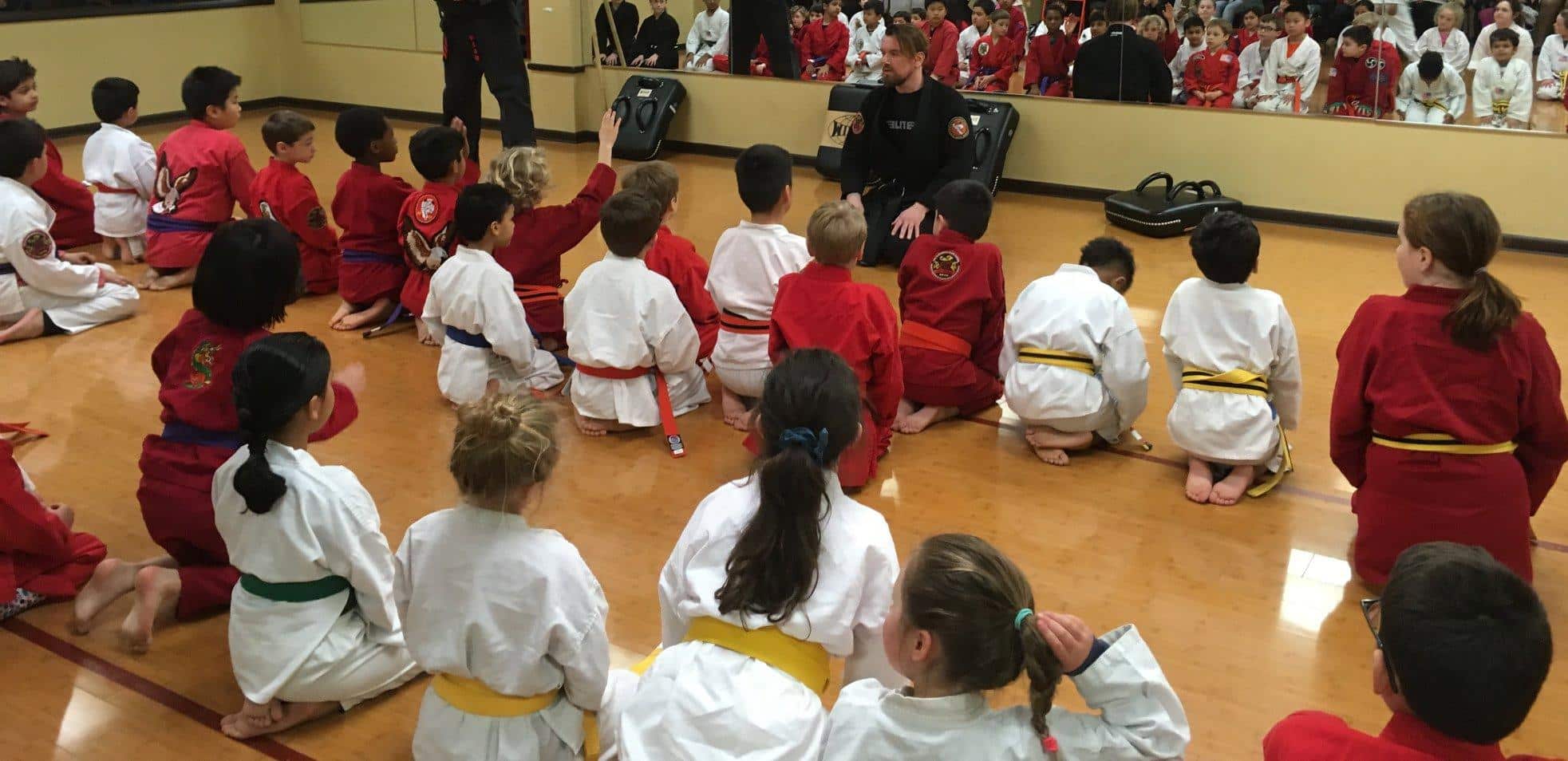 Main image of The Nackord Karate System