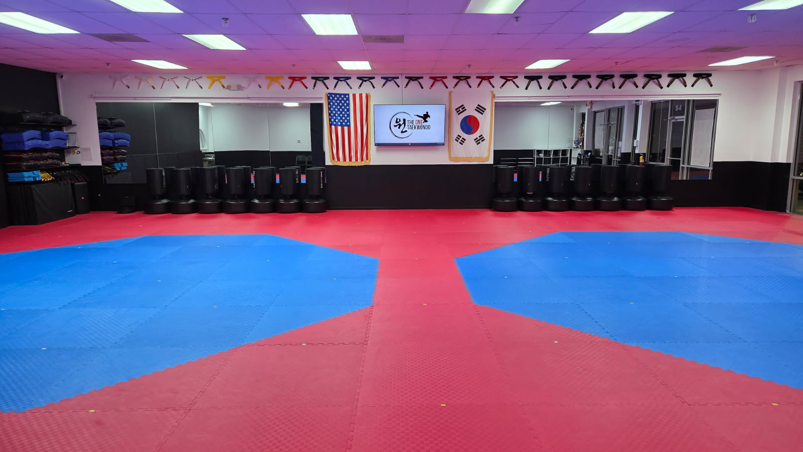 Main image of The ONE Taekwondo Center