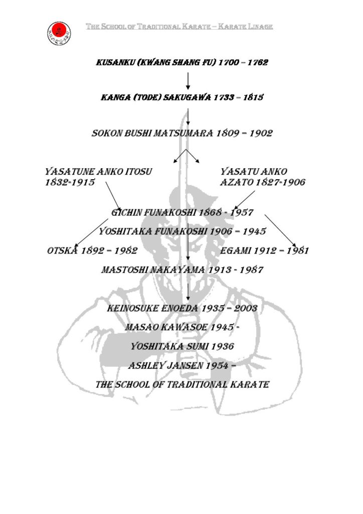 Main image of The School Of Traditional Karate