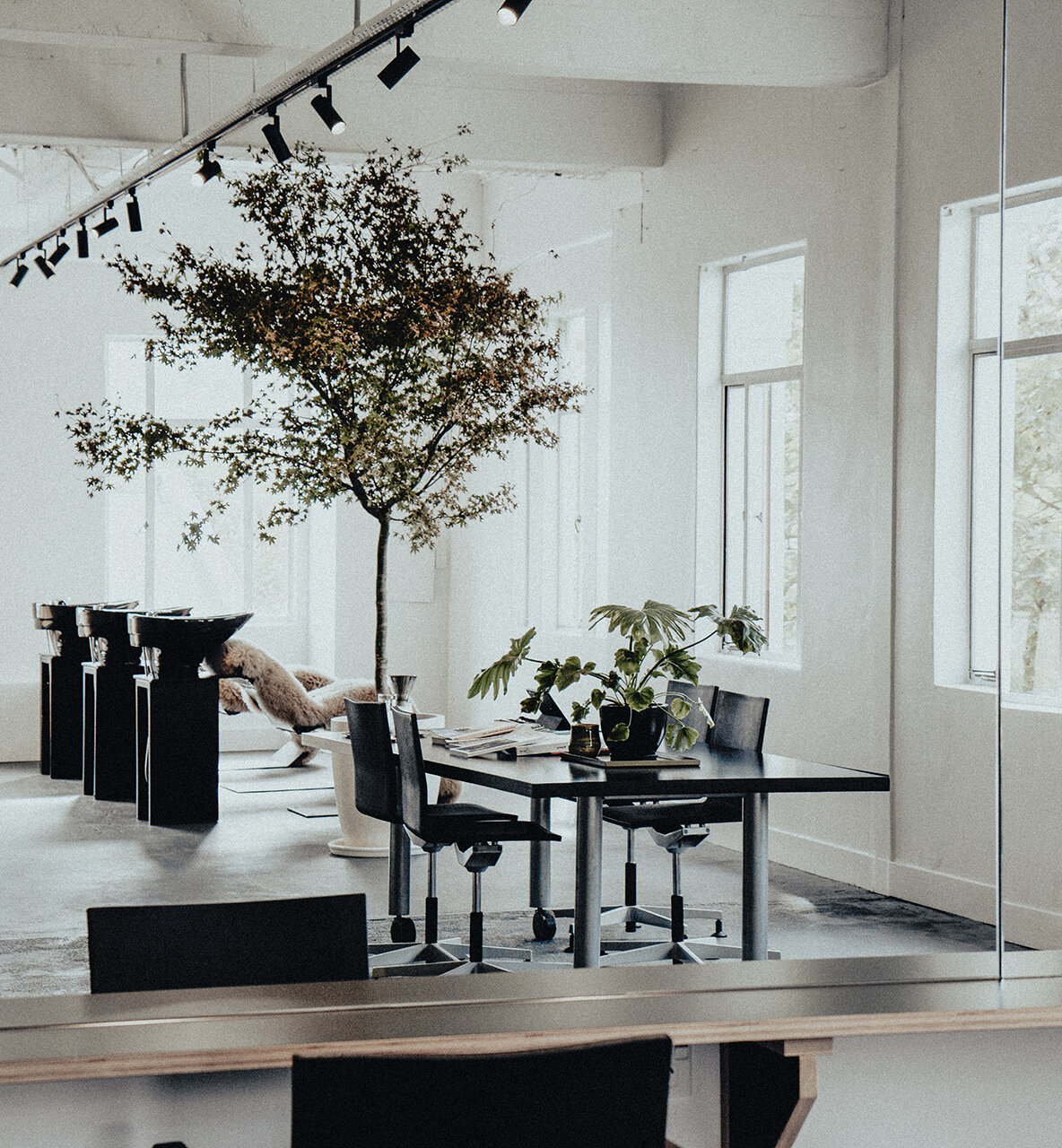 Main image of The Studio Health and Fitness