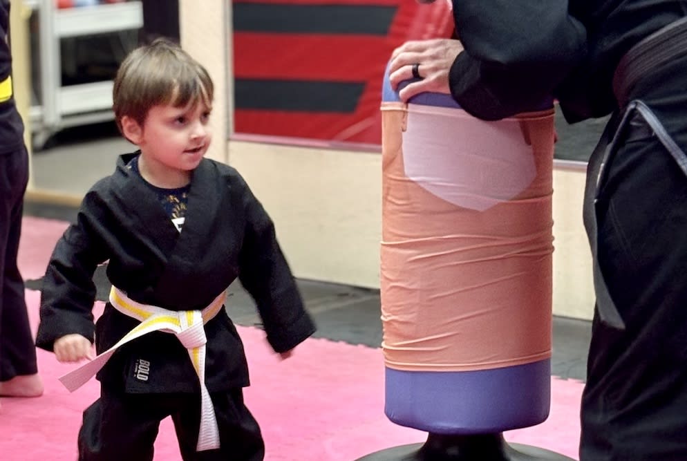 Main image of The TAMA Dojo