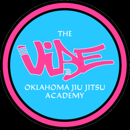 Main image of The Vibe Jiu Jitsu Academy