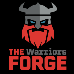 Main image of The Warriors Forge