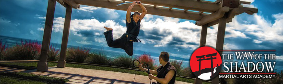 Main image of The Way of the Shadow Martial Arts Academy