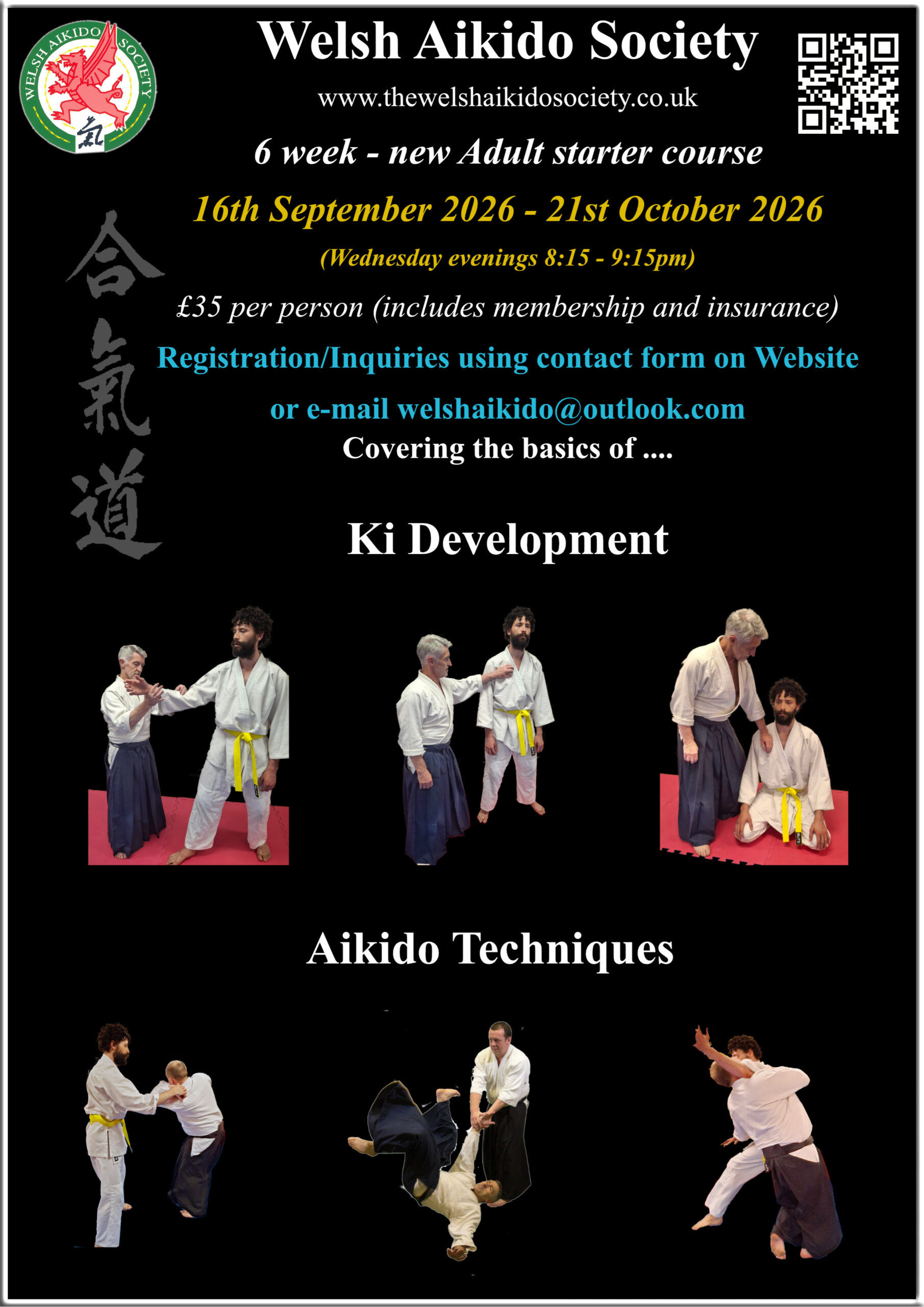 Main image of The Welsh Aikido society