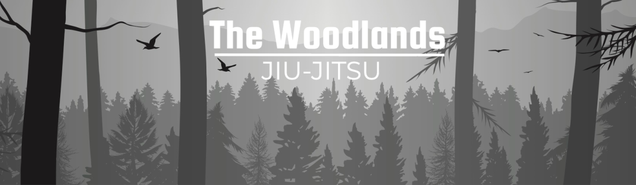 Main image of The Woodlands Jiu Jitsu