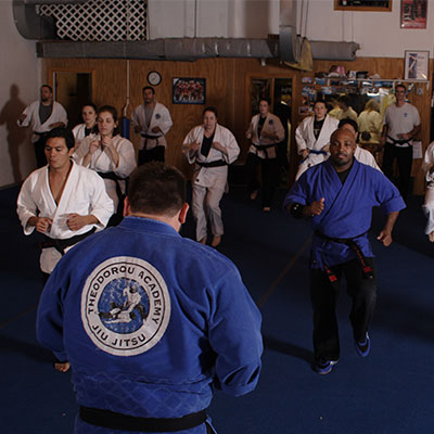 Main image of Theodorou Academy of Jiu Jitsu