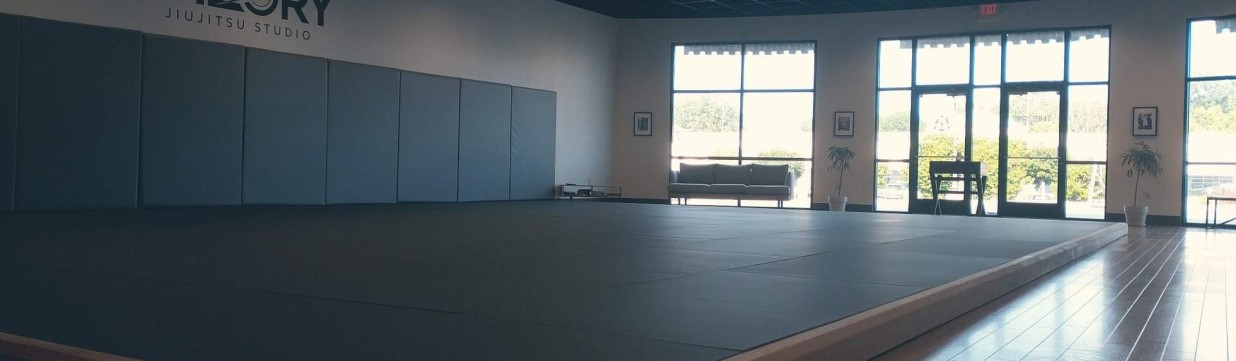 Main image of Theory Jiu-Jitsu Studio