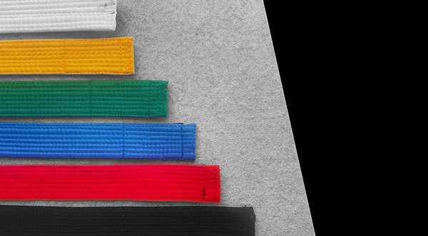 Main image of Thrive Martial Arts + High Performance