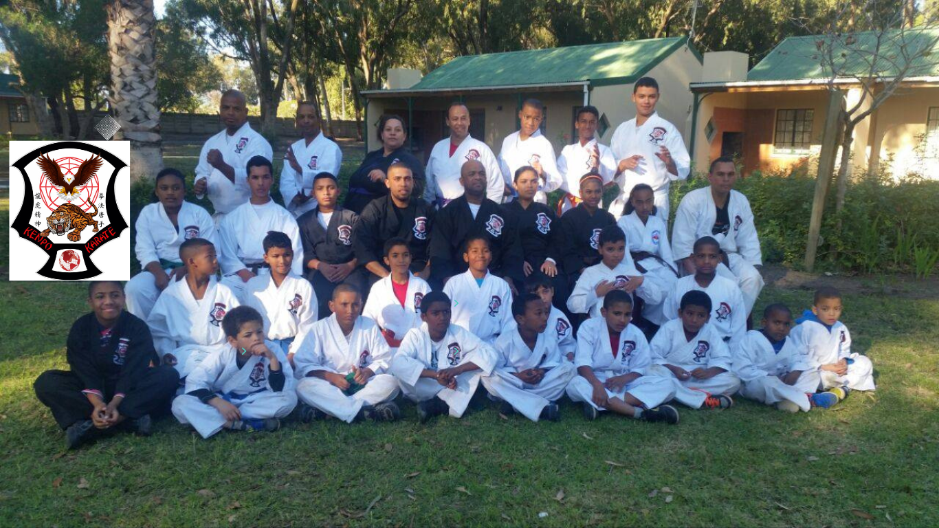 Main image of Tiger Academy of Martial Arts SA