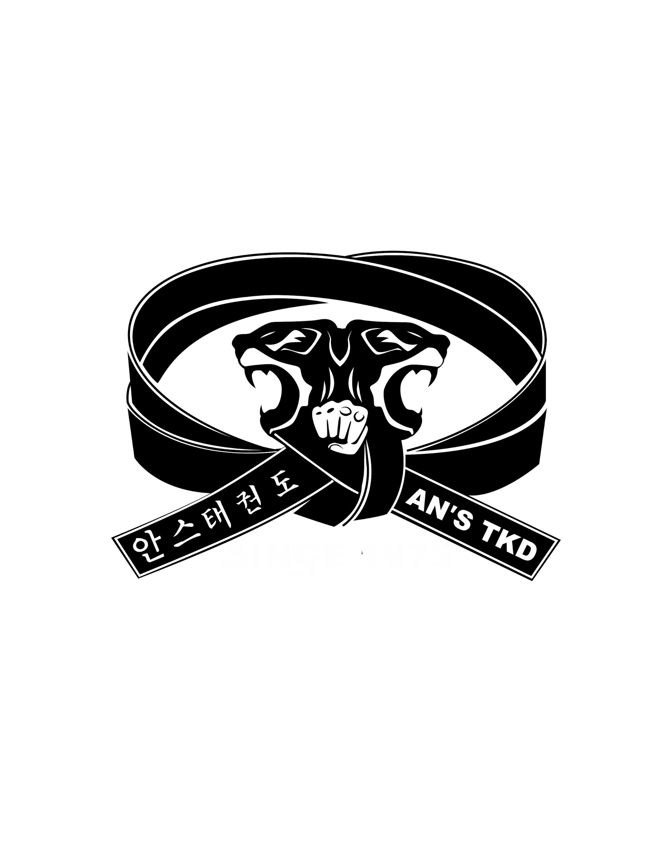 Main image of Tiger An's Tae Kwon Do