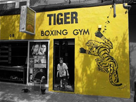 Tiger Boxing Gym academy photo