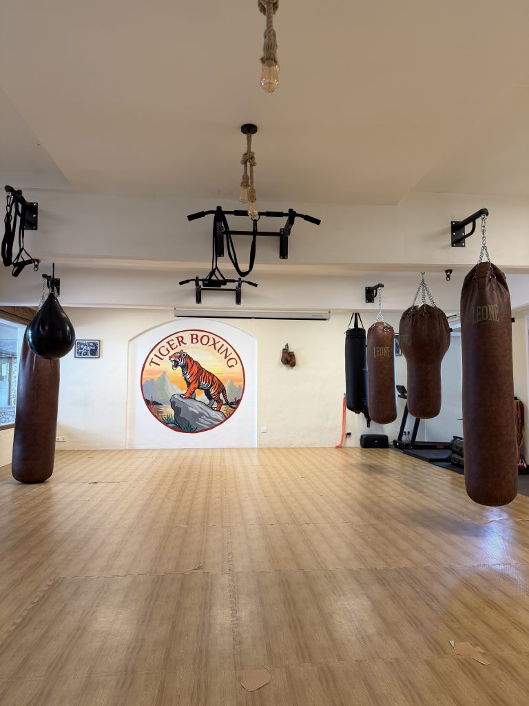 Main image of Tiger Boxing