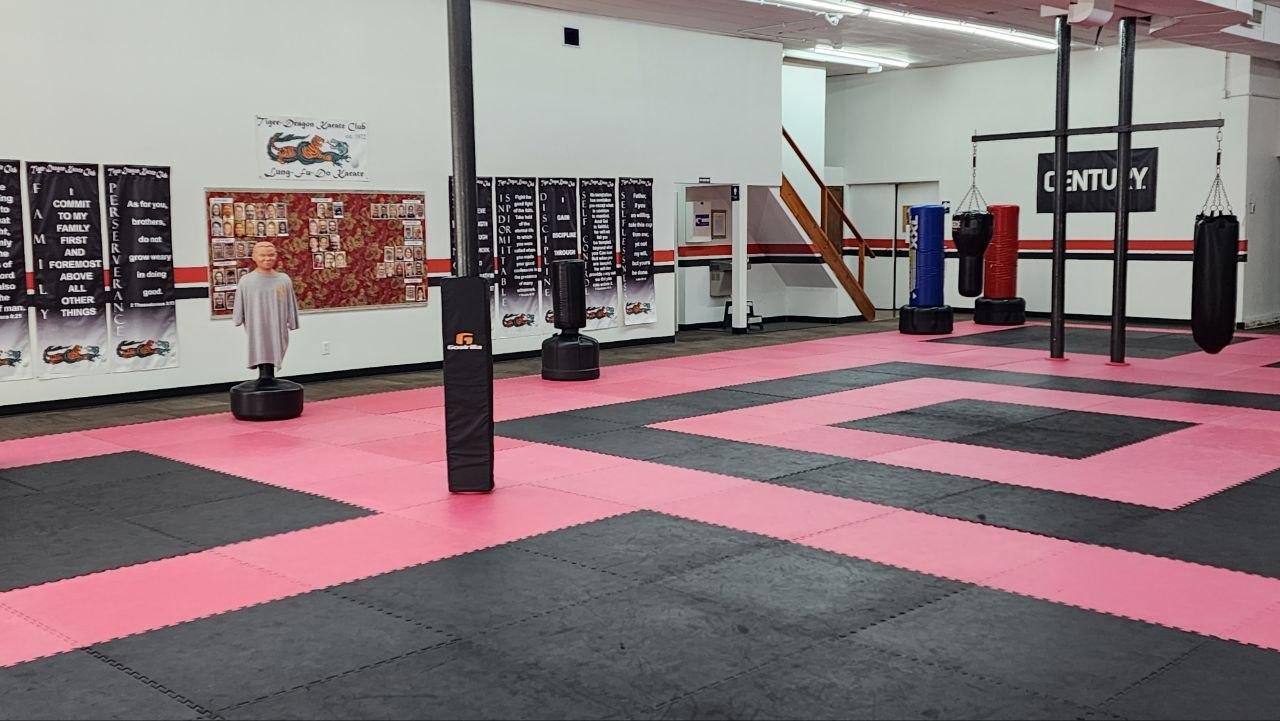 Main image of Tiger-Dragon Karate Club