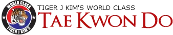 Tiger J Kim's World Class Taekwondo 3