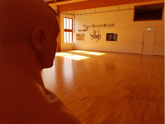 Main image of Tiger Karate Klubb