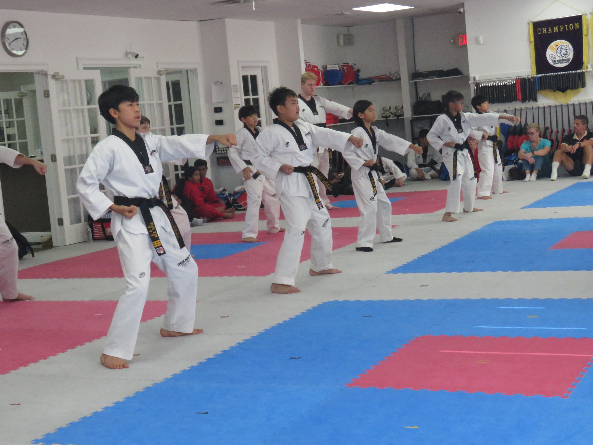 Main image of Tiger Kim's Taekwondo Center