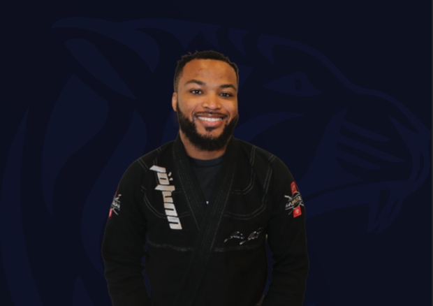Main image of Tiger Martial Arts Academy