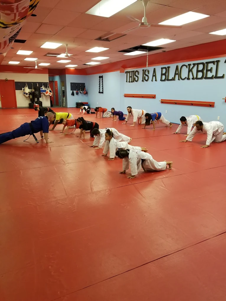 Main image of Tiger Paw Martial Arts
