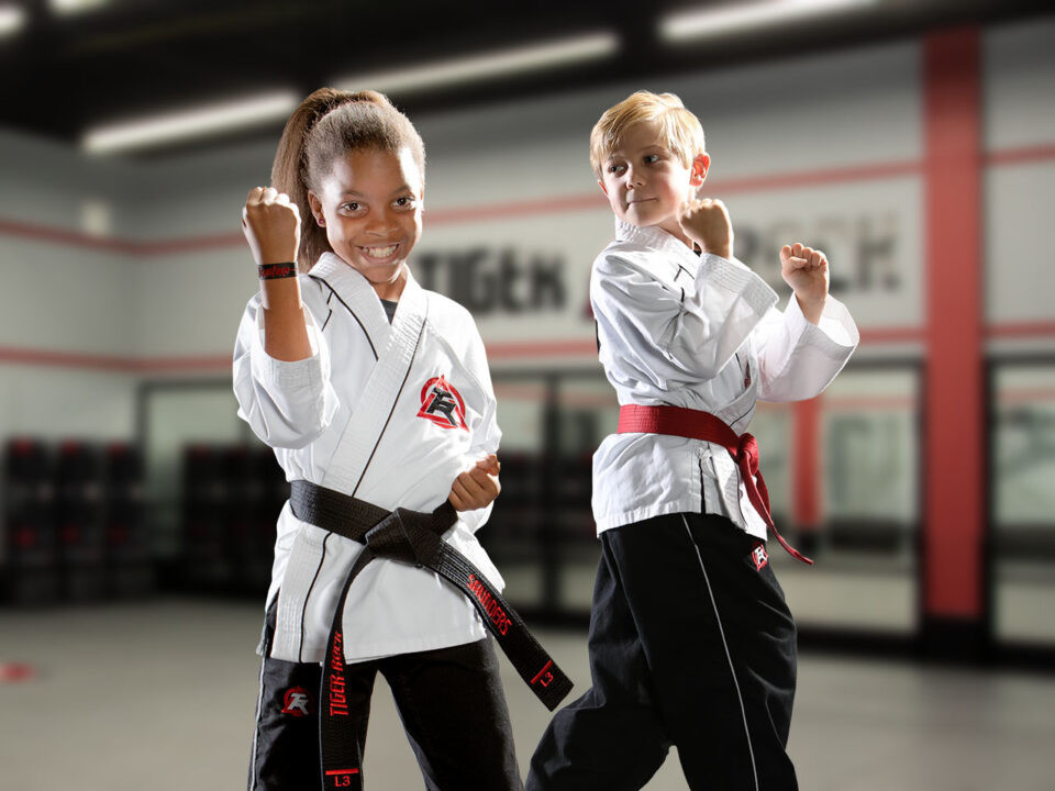 Tiger-Rock Martial Arts of Atascocita
