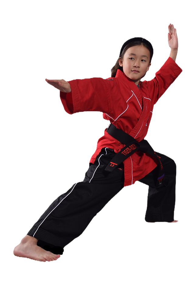Main image of Tiger-Rock Martial Arts