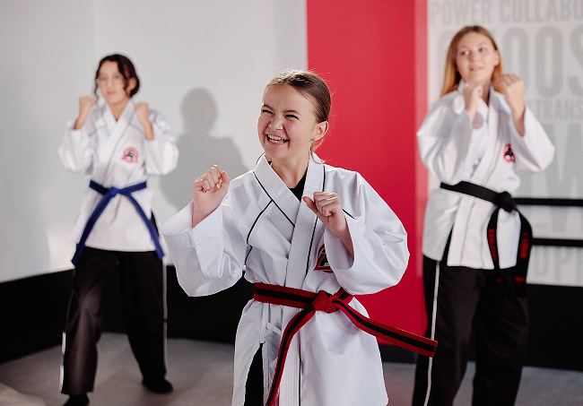 Main image of Tiger-Rock Martial Arts
