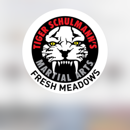 Main image of Tiger schulmann’s martial arts