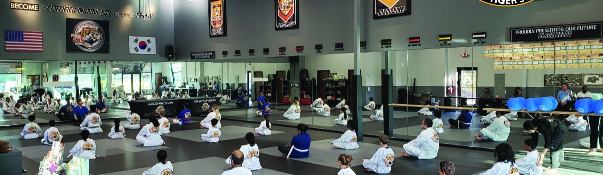 Main image of TIGER SUN MARTIAL ARTS FRISCO / KARATE TAEKWONDO