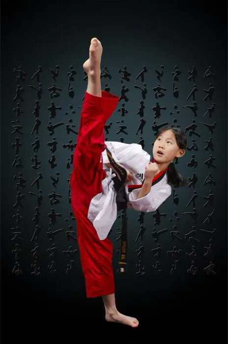 Main image of Tiger World Class Tae Kwon Do