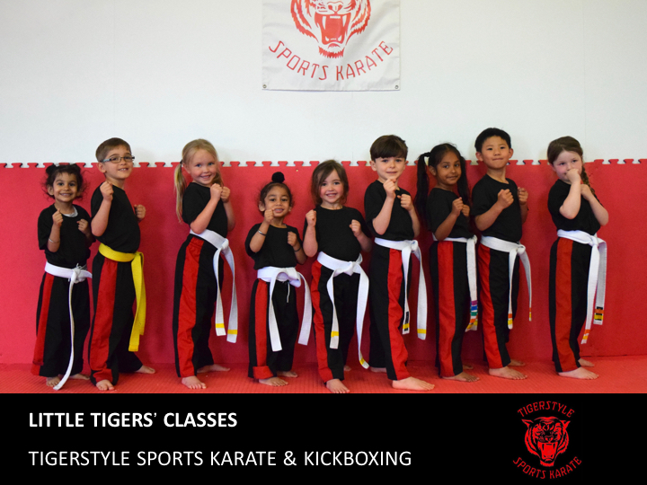 Main image of Tigerstyle Sports Karate and Kickboxing Centre