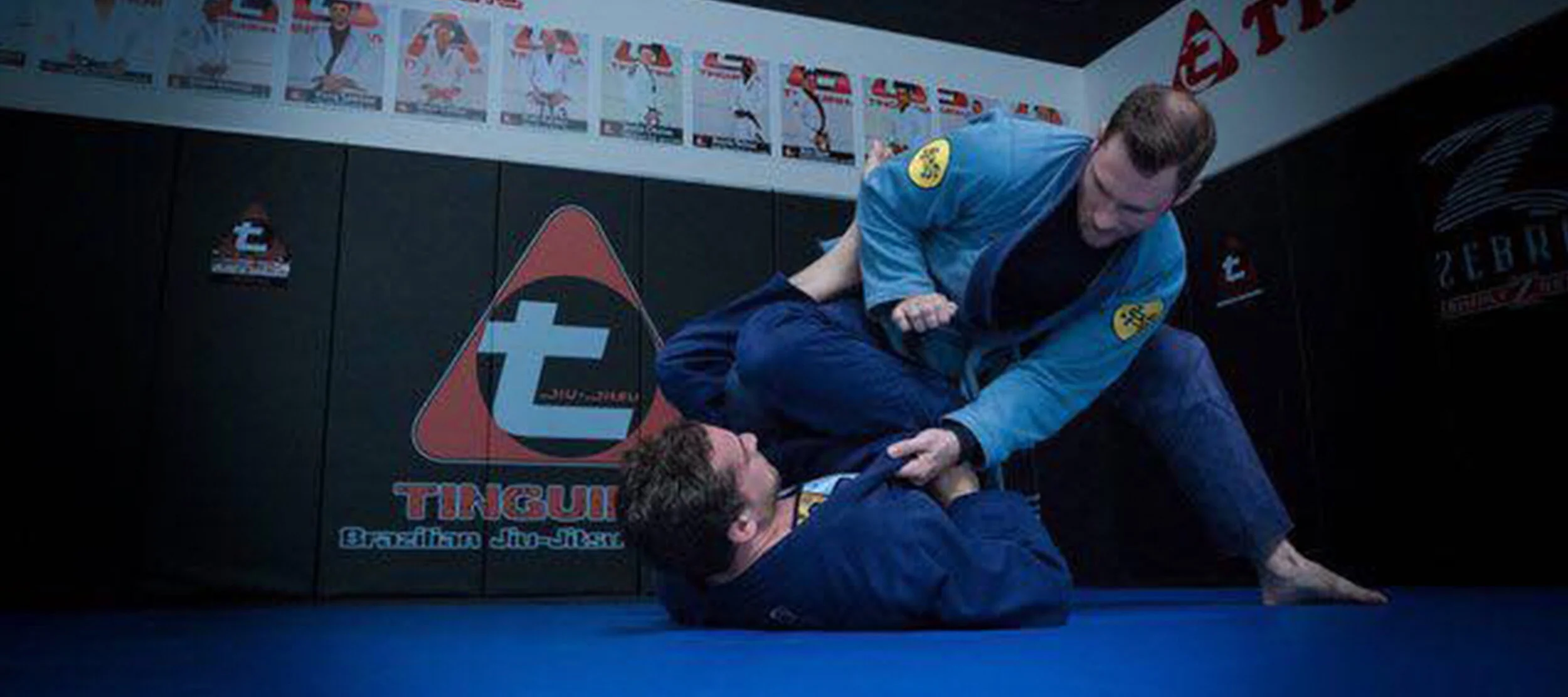 Tinguinha Brazilian JiuJitsu Academy - Yorba Linda / Anaheim Hills