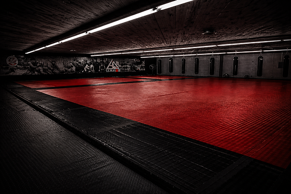 Tinsley Family Martial Arts