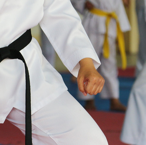 Main image of TKD CRSA