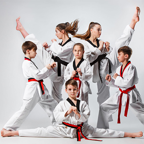 Main image of TNT School Of Martial Arts