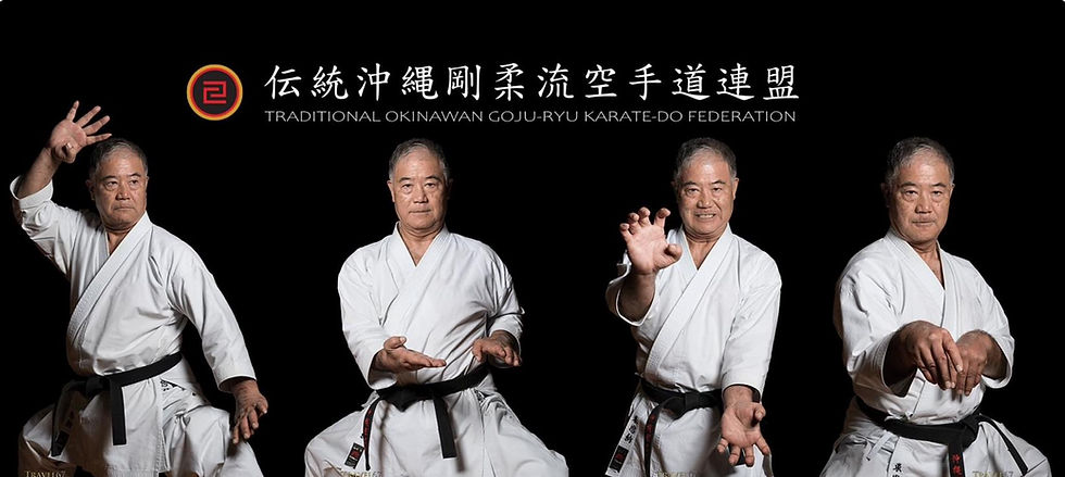 Main image of TOGKA Traditional Karate