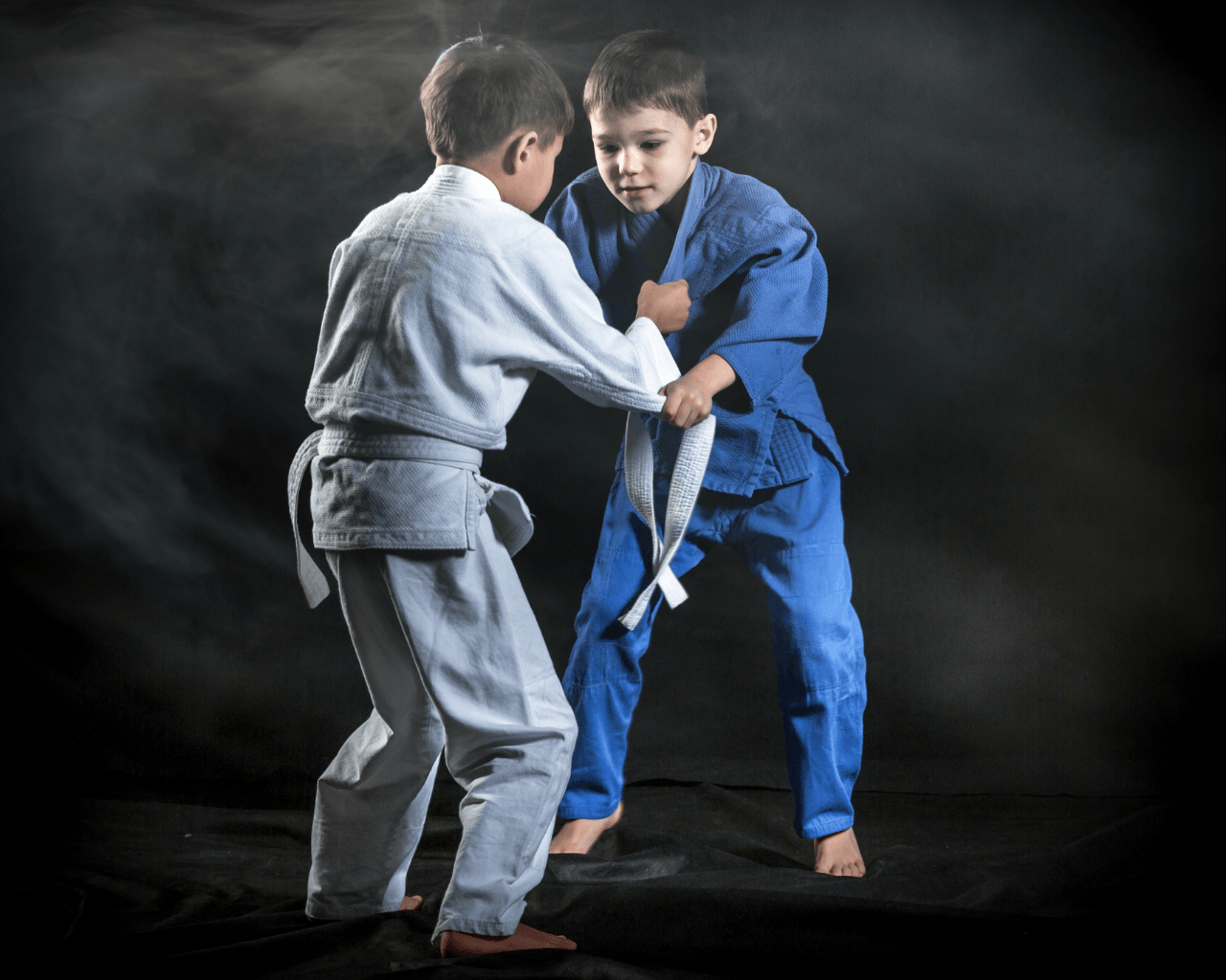 Main image of Top Judo Harderwijk