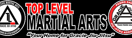 Main image of Top Level Martial Arts