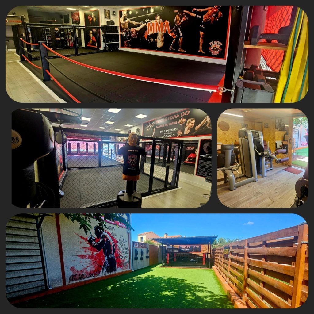 Main image of Tora Do_ Mma Boxe