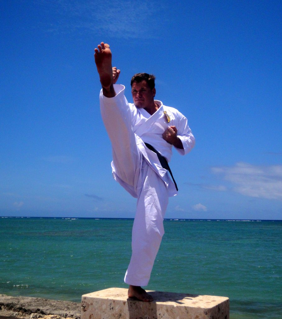 Main image of Tora Dojo - Gqeberha