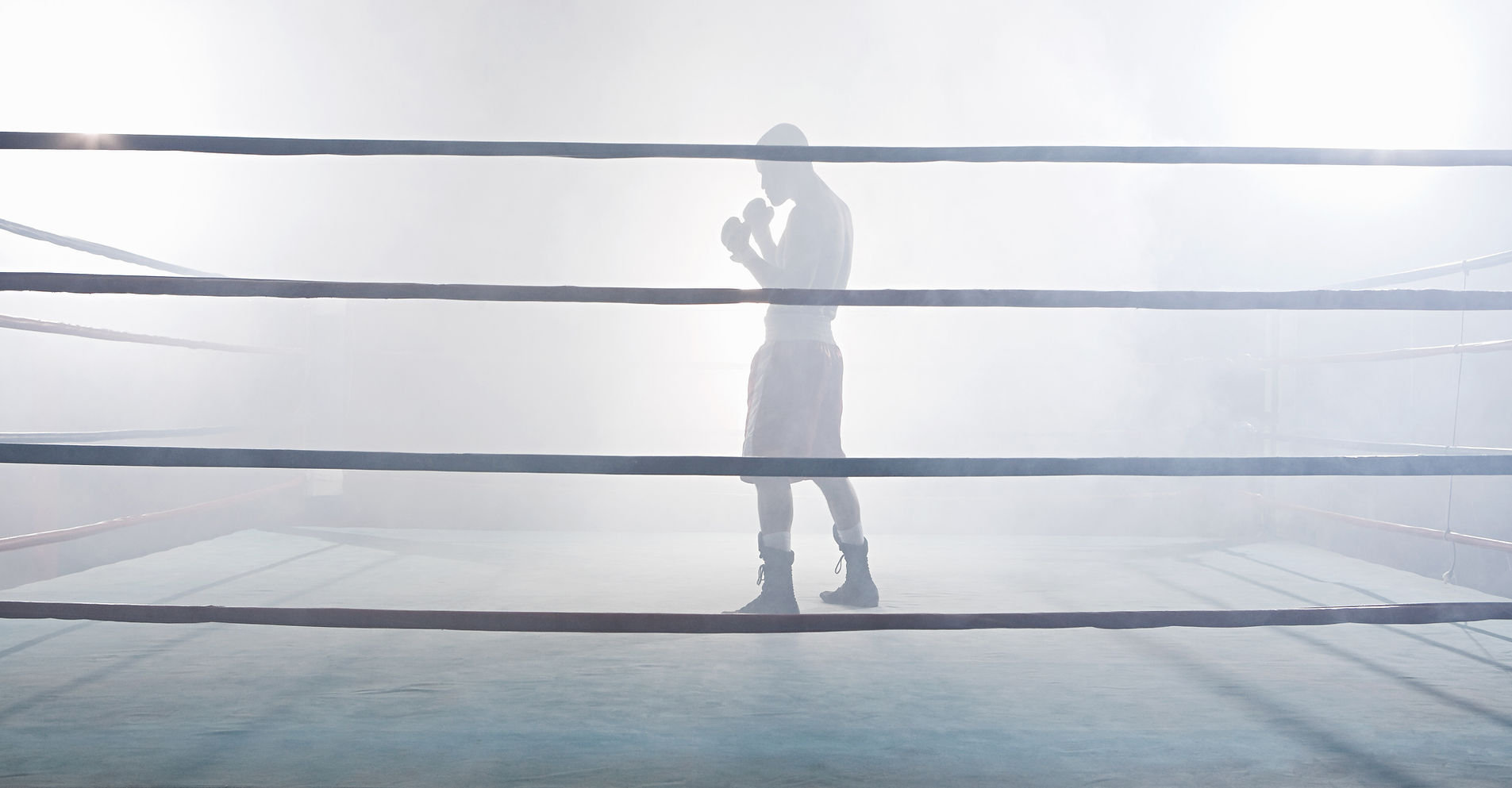 Torres Boxing Academy academy image