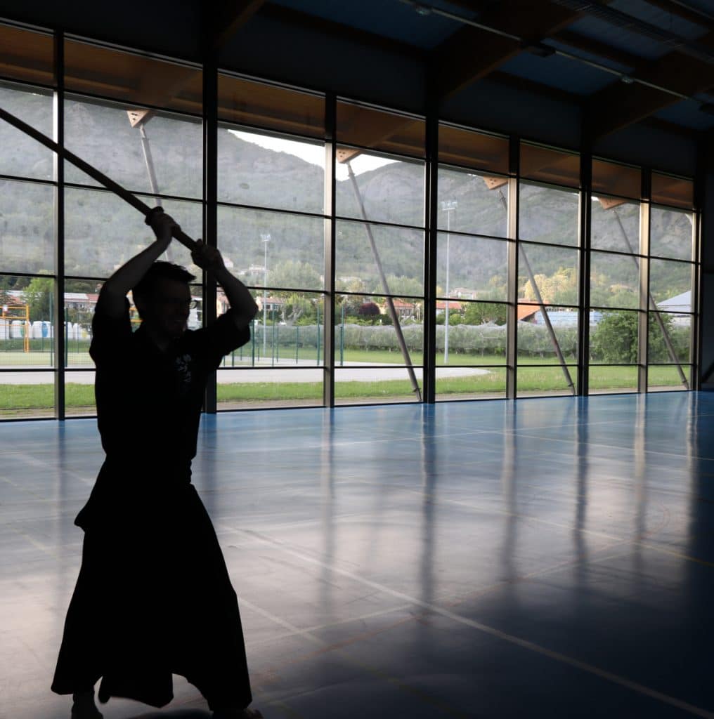 Main image of Toshinkan Dojo Iaido