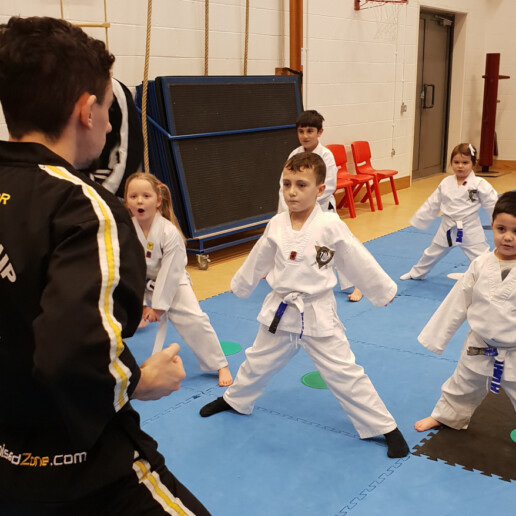 Main image of Total Martial Arts Premier Academy
