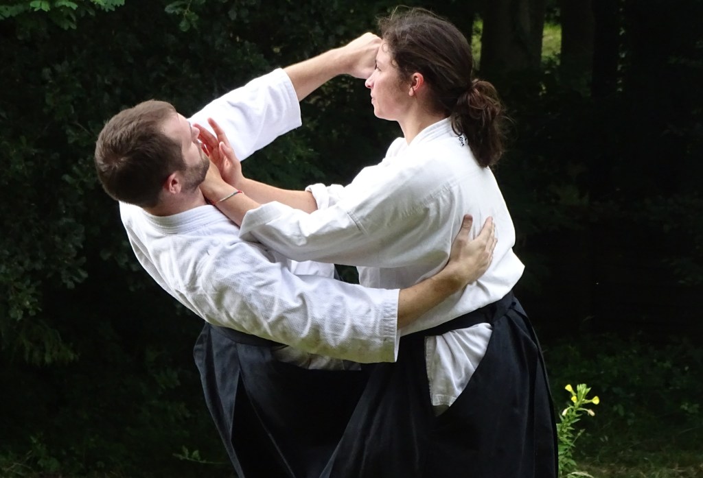 Main image of Traditional Aikido Salvetat