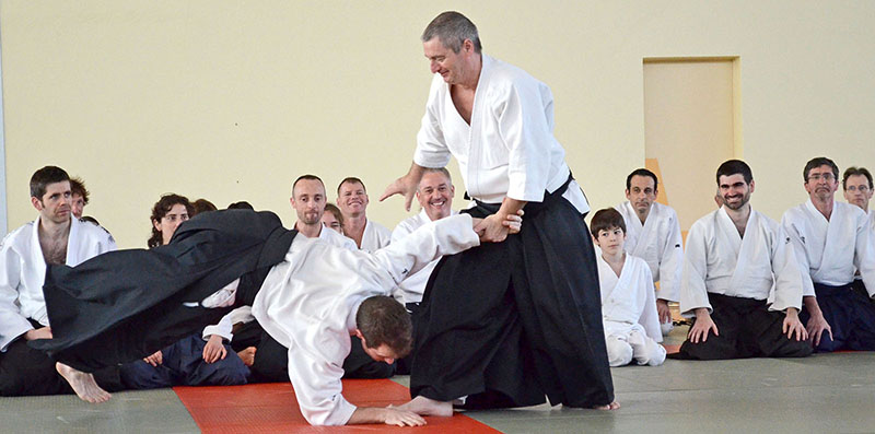Main image of Traditional Aikido Toulouse